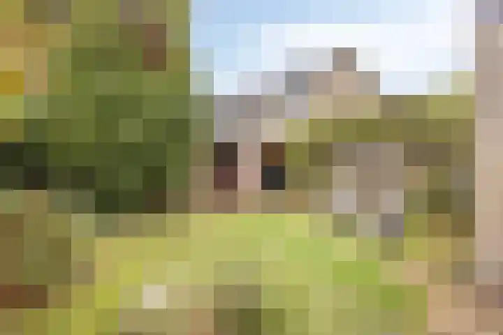 Mgr. Goossenssingel 3 Vught thumbnail 29