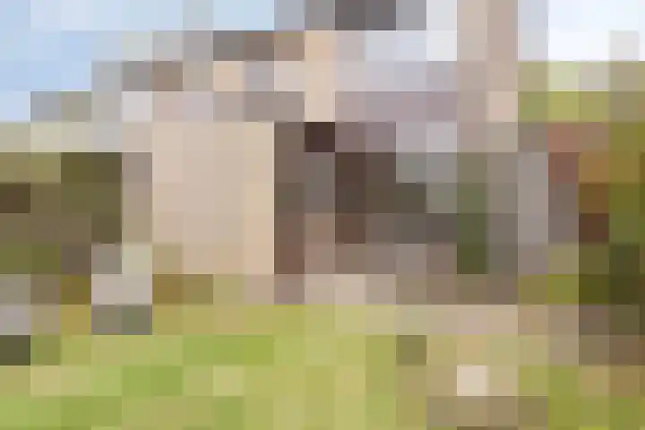 Mgr. Goossenssingel 3 Vught thumbnail 30