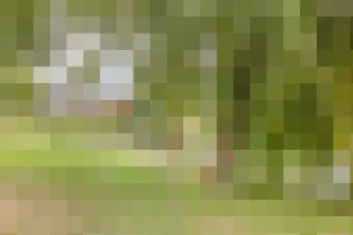 Mgr. Goossenssingel 3 Vught thumbnail 33