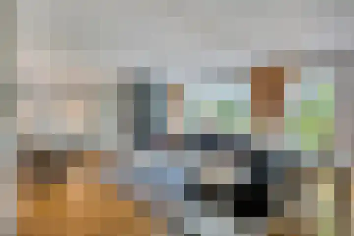 Mgr.Hermuslaan 24 Sint-Michielsgestel thumbnail 10