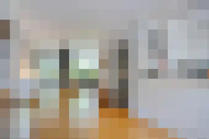 Mgr.Hermuslaan 24 Sint-Michielsgestel thumbnail 13