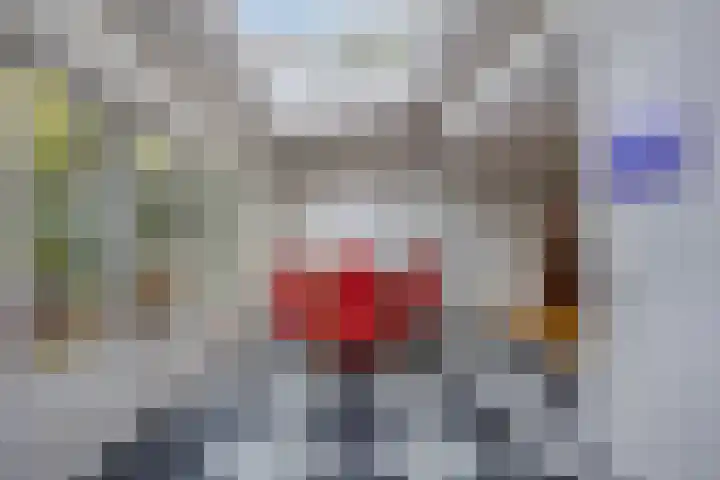 Mgr.Hermuslaan 24 Sint-Michielsgestel thumbnail 17