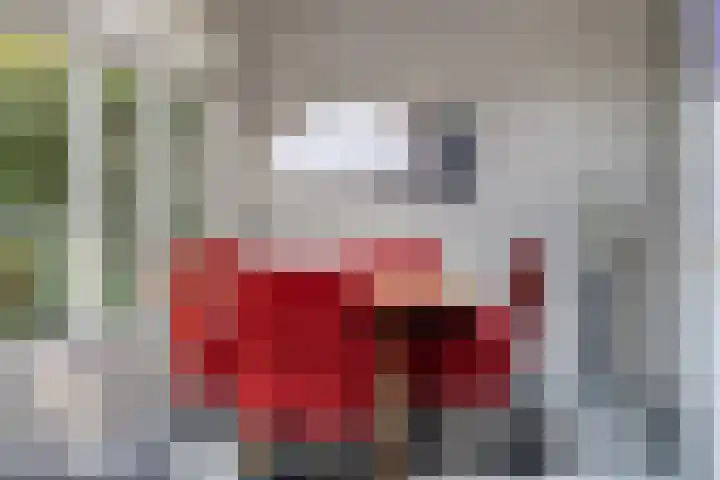 Mgr.Hermuslaan 24 Sint-Michielsgestel thumbnail 18