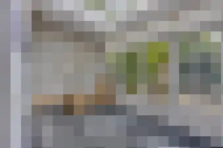 Mgr.Hermuslaan 24 Sint-Michielsgestel thumbnail 19