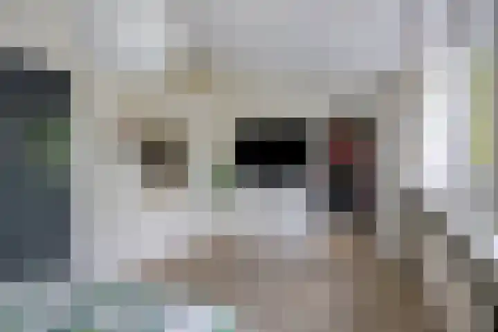 Mgr.Hermuslaan 24 Sint-Michielsgestel thumbnail 26