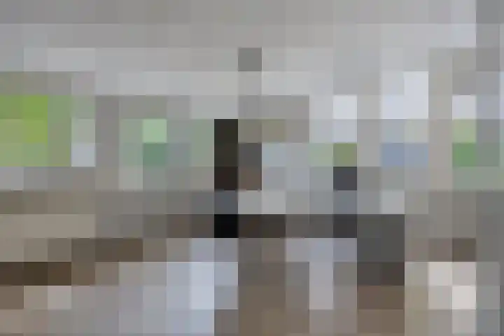 Mgr.Hermuslaan 24 Sint-Michielsgestel thumbnail 29