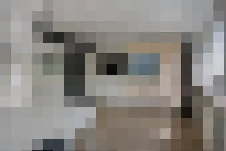 Mgr.Hermuslaan 24 Sint-Michielsgestel thumbnail 31