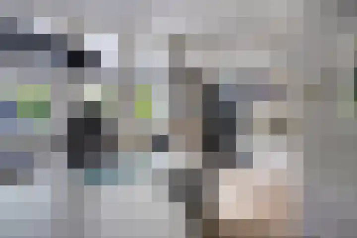 Mgr.Hermuslaan 24 Sint-Michielsgestel thumbnail 32