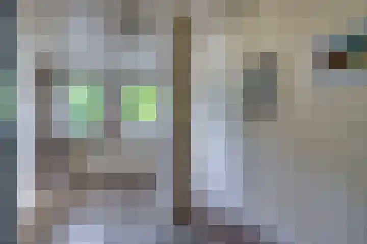 Mgr.Hermuslaan 24 Sint-Michielsgestel thumbnail 33
