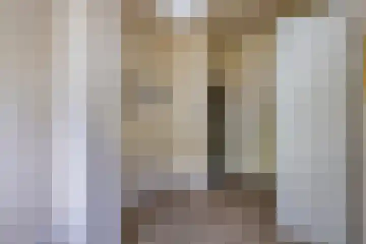 Mgr.Hermuslaan 24 Sint-Michielsgestel thumbnail 34