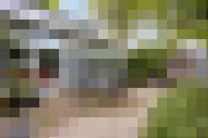 Mgr.Hermuslaan 24 Sint-Michielsgestel thumbnail 35