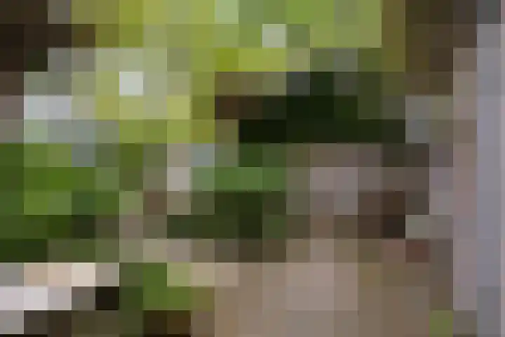 Mgr.Hermuslaan 24 Sint-Michielsgestel thumbnail 36