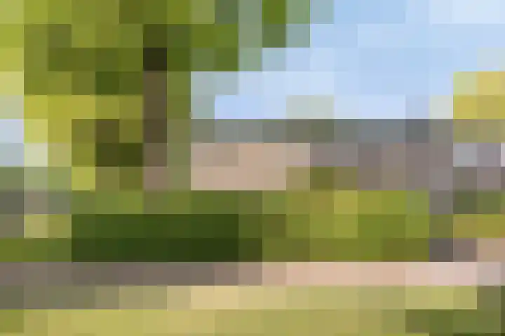 Mgr.Hermuslaan 24 Sint-Michielsgestel thumbnail 4