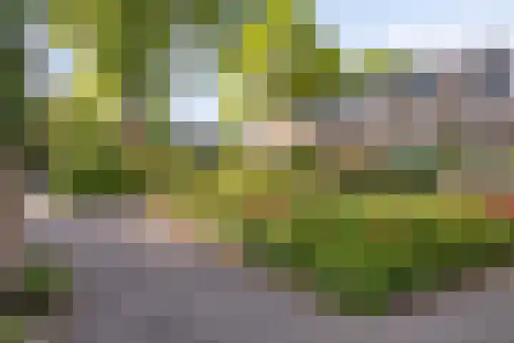 Mgr.Hermuslaan 24 Sint-Michielsgestel thumbnail 5