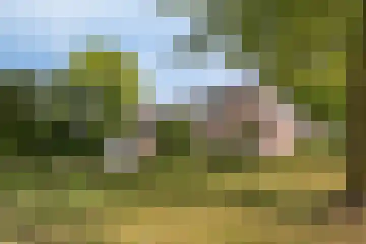 Mgr.Hermuslaan 24 Sint-Michielsgestel thumbnail 6