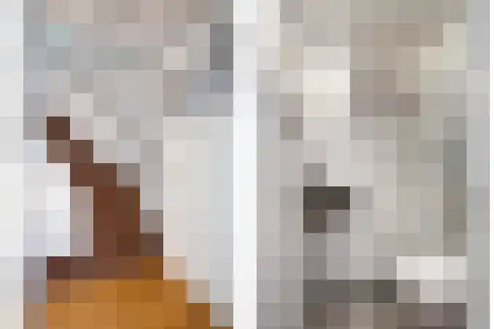 Mgr.Hermuslaan 24 Sint-Michielsgestel thumbnail 8
