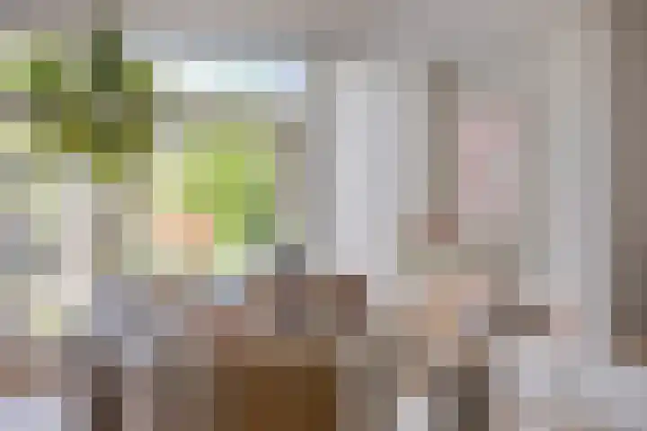 Mgr.Hermuslaan 32 A Sint-Michielsgestel thumbnail 20