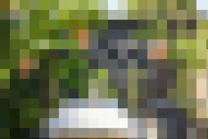 Mgr.Hermuslaan 32 A Sint-Michielsgestel thumbnail 35