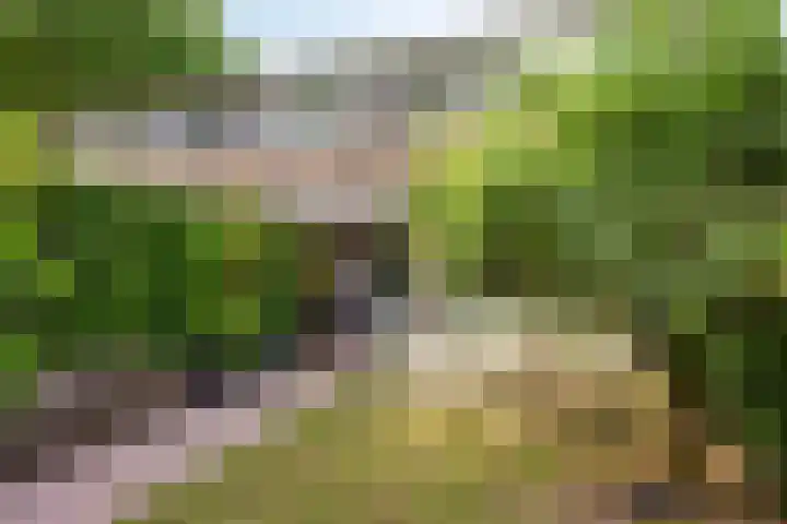 Mgr.Hermuslaan 32 A Sint-Michielsgestel thumbnail 6