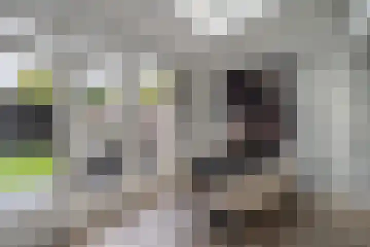 Mgr.Hermuslaan 42 Sint-Michielsgestel thumbnail 10