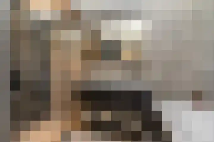 Mgr.Hermuslaan 42 Sint-Michielsgestel thumbnail 18