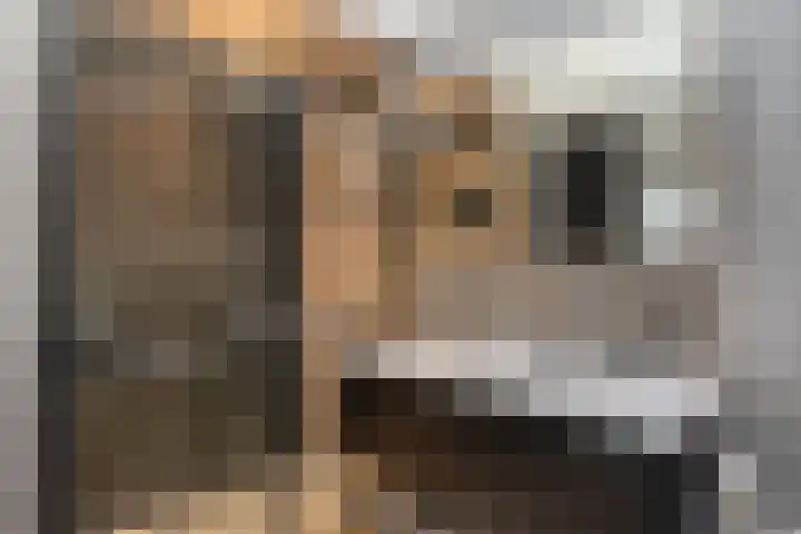 Mgr.Hermuslaan 42 Sint-Michielsgestel thumbnail 20
