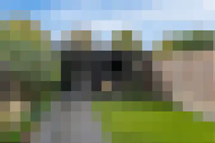 Mgr.Hermuslaan 42 Sint-Michielsgestel thumbnail 22