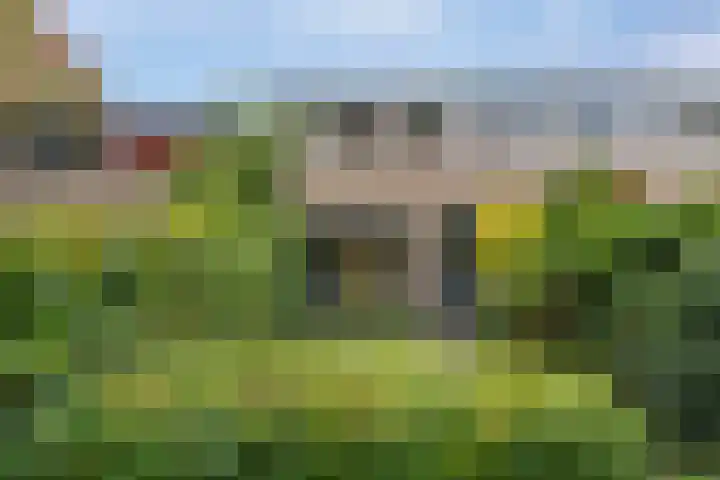 Mgr.Hermuslaan 42 Sint-Michielsgestel thumbnail 27