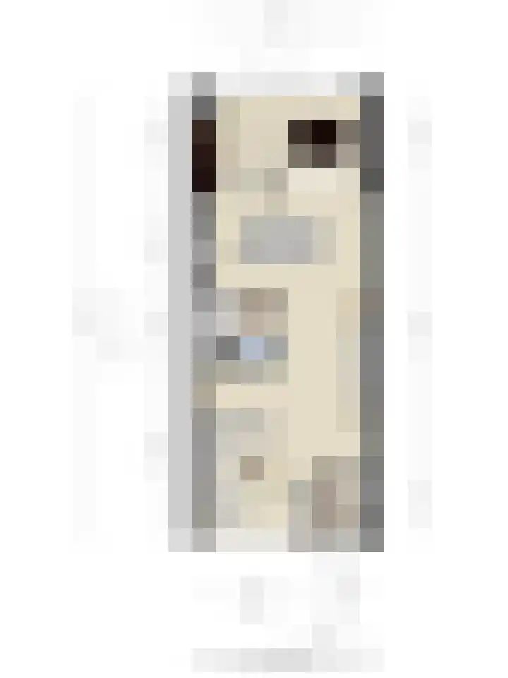 Mgr.Hermuslaan 42 Sint-Michielsgestel thumbnail 31
