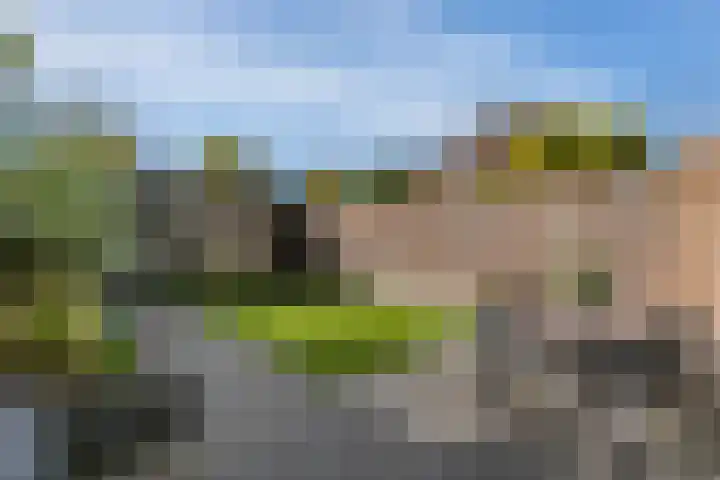 Mgr.Hermuslaan 42 Sint-Michielsgestel thumbnail 4