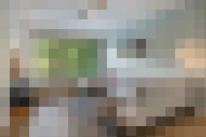 Mgr.Hermuslaan 42 Sint-Michielsgestel thumbnail 7