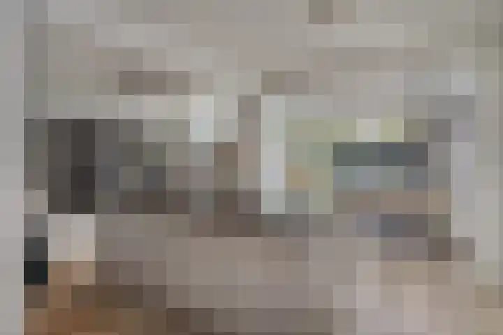 Mgr.Hermuslaan 42 Sint-Michielsgestel thumbnail 8