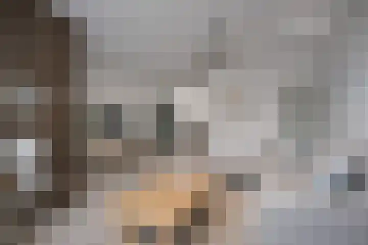 Mgr.Hermuslaan 44 A Sint-Michielsgestel thumbnail 5