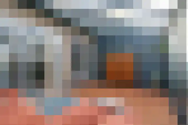 Mgr.Hermuslaan 50 Sint-Michielsgestel thumbnail 11