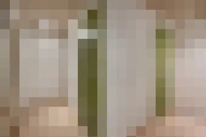 Mgr.Hermuslaan 50 Sint-Michielsgestel thumbnail 16