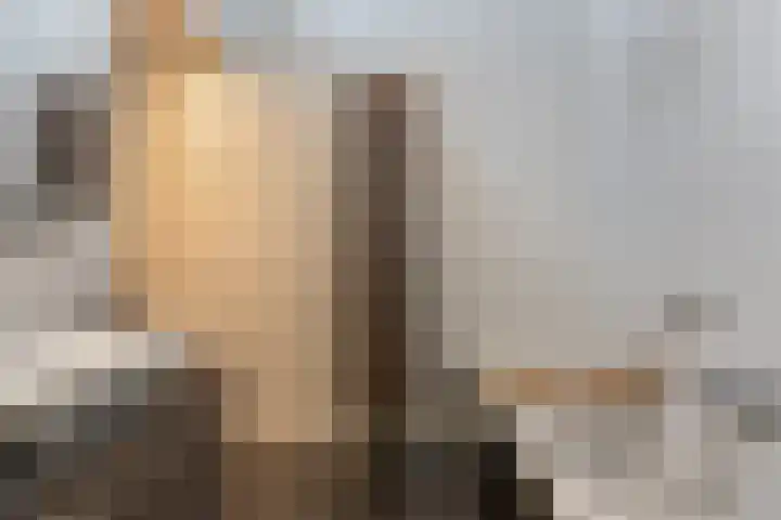 Mgr.Hermuslaan 50 Sint-Michielsgestel thumbnail 21