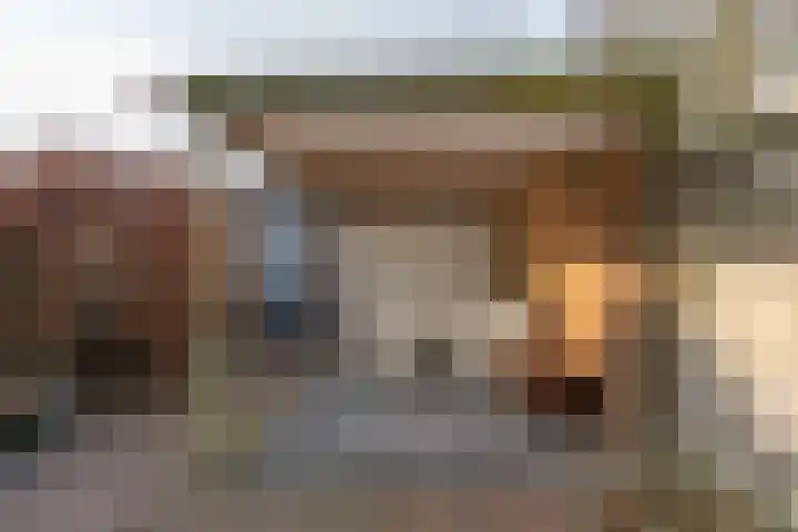 Mgr.Hermuslaan 50 Sint-Michielsgestel thumbnail 26