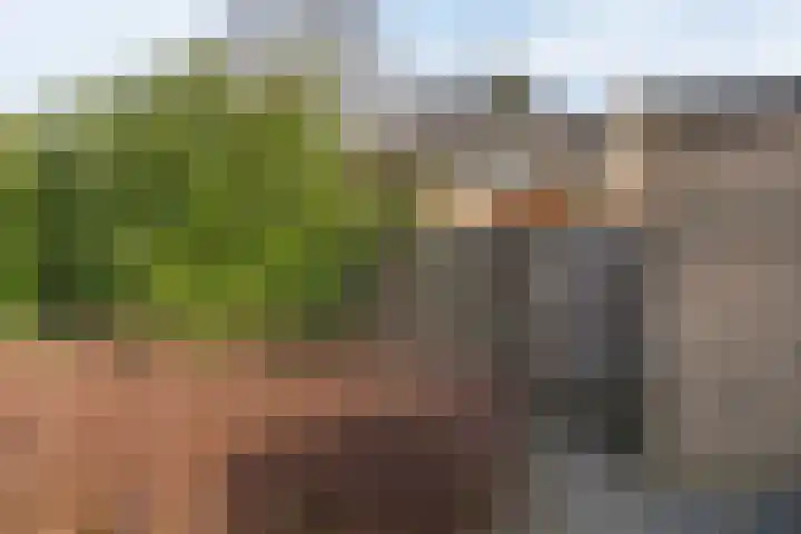 Mgr.Hermuslaan 50 Sint-Michielsgestel thumbnail 27