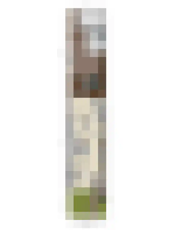 Mgr.Hermuslaan 50 Sint-Michielsgestel thumbnail 33
