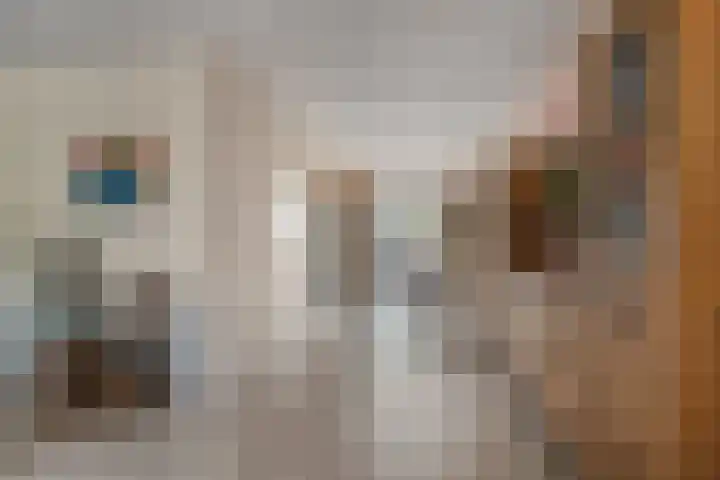 Mgr.Hermuslaan 50 Sint-Michielsgestel thumbnail 5
