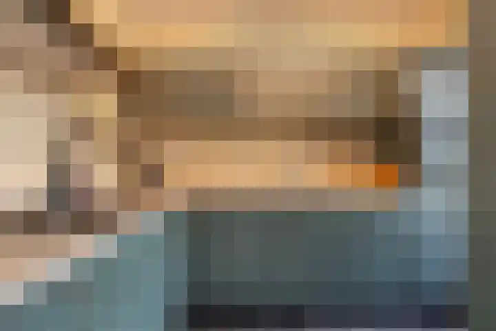 Mgr.Hermuslaan 50 Sint-Michielsgestel thumbnail 8