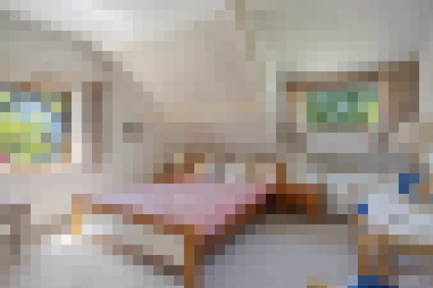 Mgr.Hermuslaan 59 Sint-Michielsgestel thumbnail 17