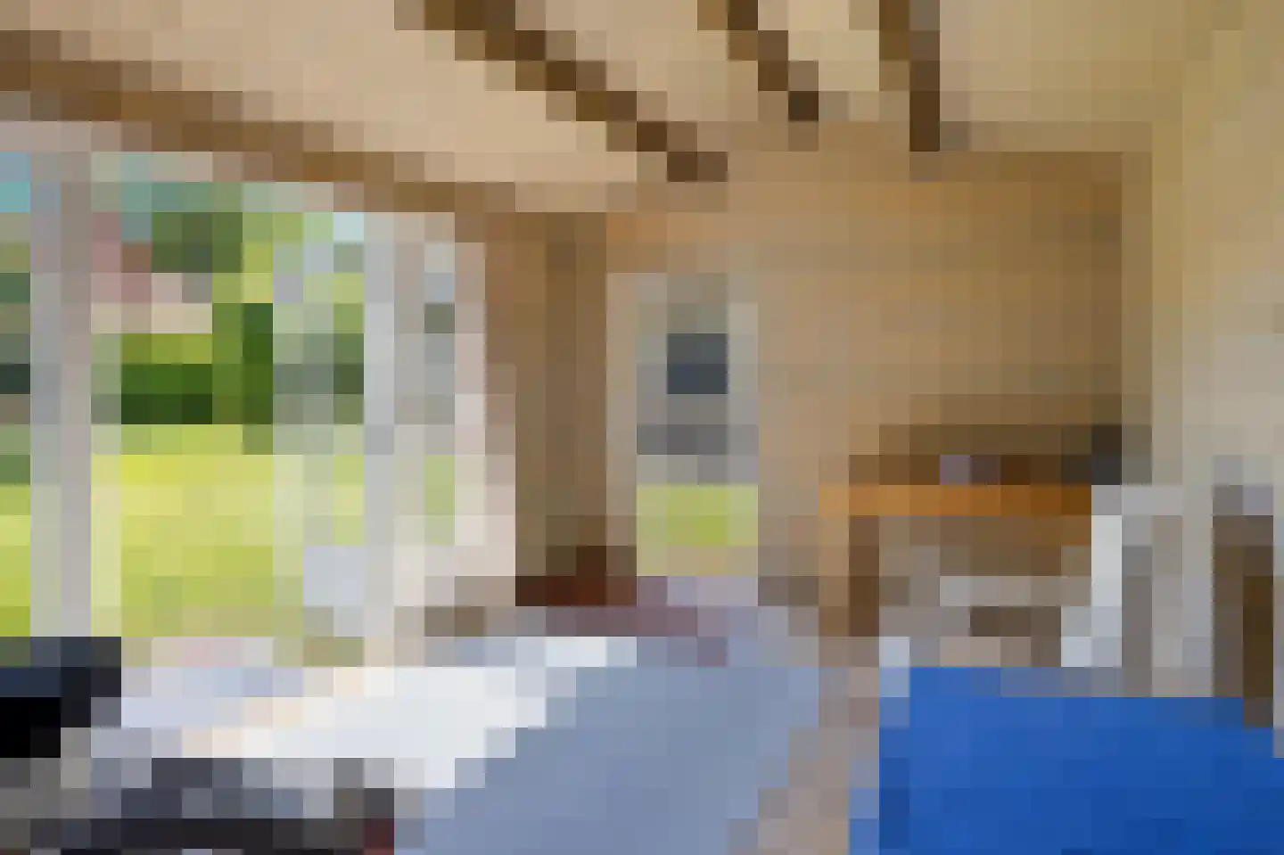 Mgr.Hermuslaan 59 Sint-Michielsgestel thumbnail 32