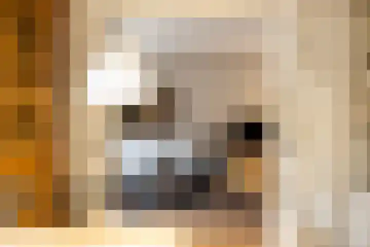 Mgr.Hermuslaan 61 Sint-Michielsgestel thumbnail 31
