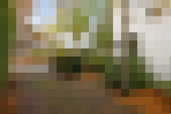 Mgr.Hermuslaan 61 Sint-Michielsgestel thumbnail 4