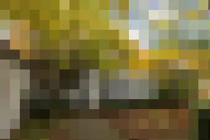 Mgr.Hermuslaan 61 Sint-Michielsgestel thumbnail 5