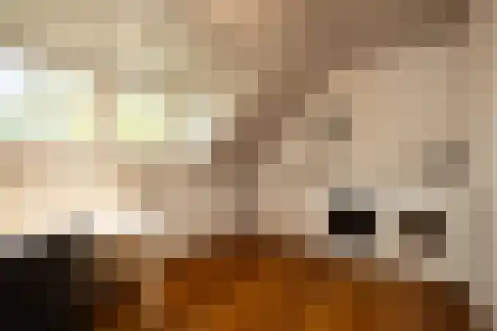 Mgr.Hermuslaan 61 Sint-Michielsgestel thumbnail 56