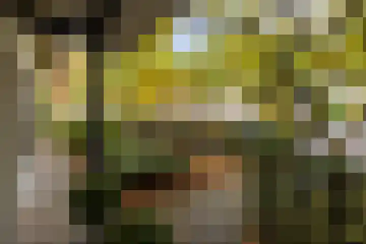Mgr.Hermuslaan 61 Sint-Michielsgestel thumbnail 6