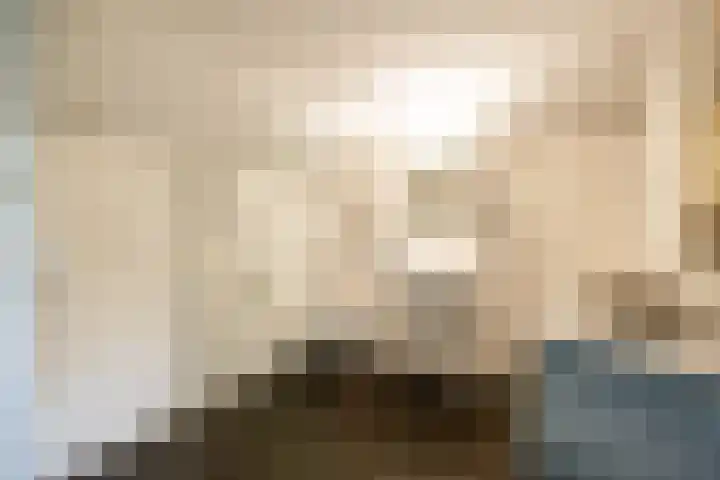 Mgr.Hermuslaan 61 Sint-Michielsgestel thumbnail 68