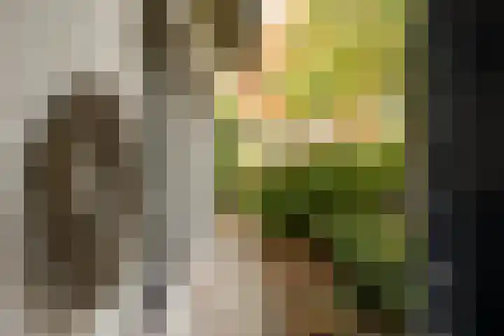 Mgr.Hermuslaan 61 Sint-Michielsgestel thumbnail 8